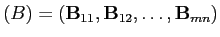 $(B)=(\mathbf{B}_{11},\mathbf{B}_{12},\ldots,\mathbf{B}_{mn})$