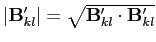 $\vert\mathbf{B}'_{kl}\vert=\sqrt{\mathbf{B}'_{kl}\cdot\mathbf{B}'_{kl}}$